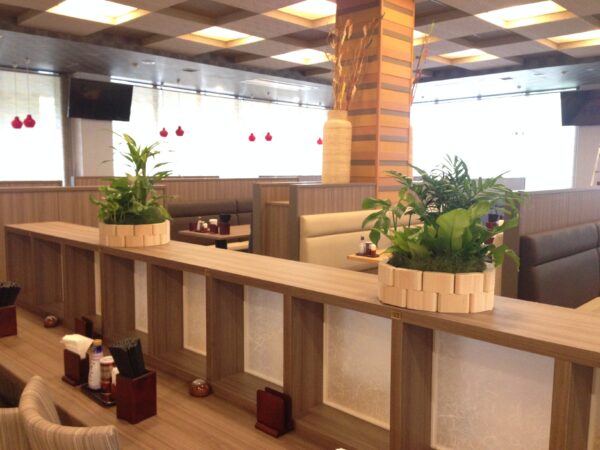 小さな寄せ植え 写真